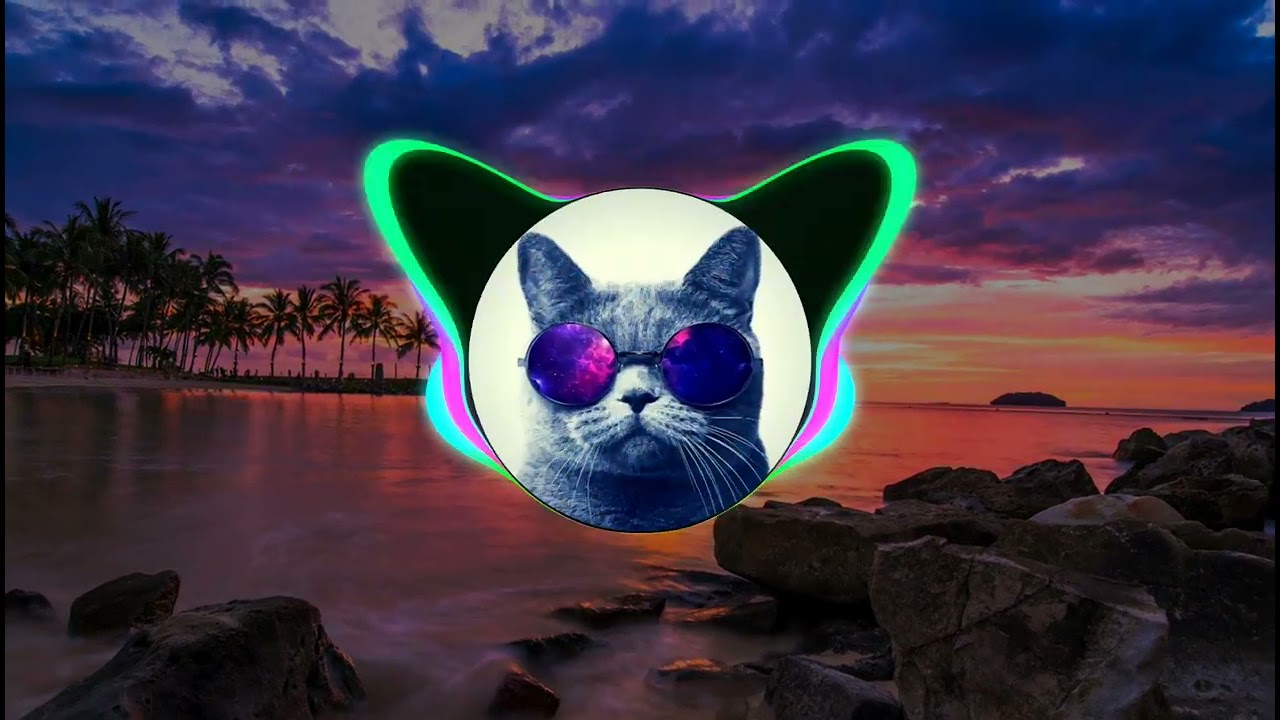 Adrian Minune-Am sa bag doua ziare(ManeleTech)(Bass Boosted)