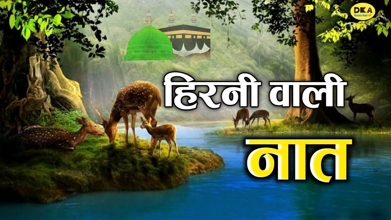 हिरनी वाली नात | Purvi Naat | Hirni Wali Naat Sharif 2024 | Amantullah Nanparvi |DKA Mushaira Media