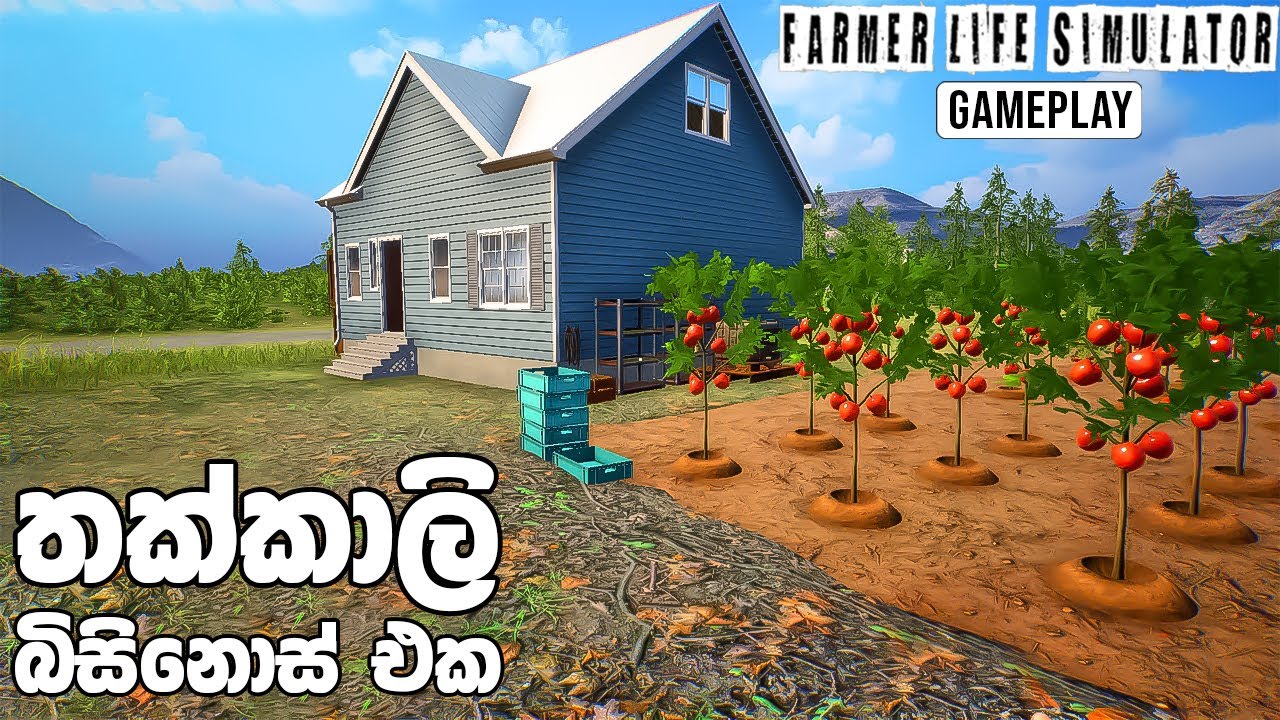 ගොවියෙක්ගේ වෙනස්ම ජීවිතයක්...🌾🍅 - Farmer Life Simulator Gameplay Sinhala