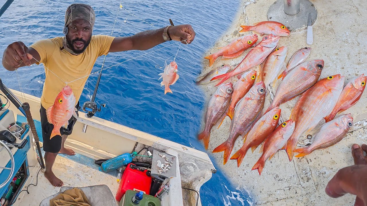 Fishing For The Best Eating Fish In The World 🐟Queen Snapper, Gold Eyes & Wenchman From The Deep