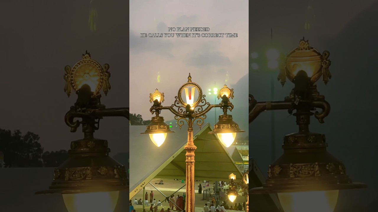 Choosing gratitude over chaos and calm over noise‼️ 