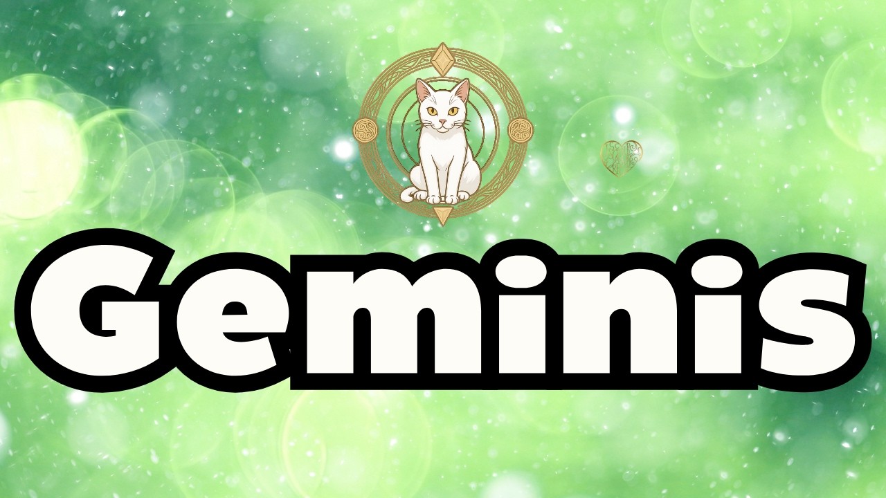 GEMINIS &iexcl;SE DESTAPA TODO! ALGUIEN SUFRE Y MUERE POR DECIRTE LA VERDAD! NOTICIAS YA!