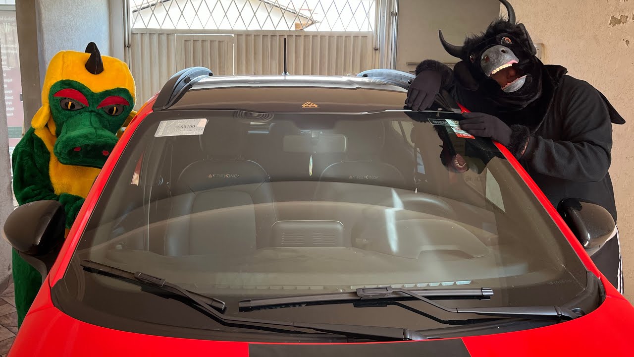 A CUCA MALVADONA e o BOI DA CARA PRETA em volta do carro 😱