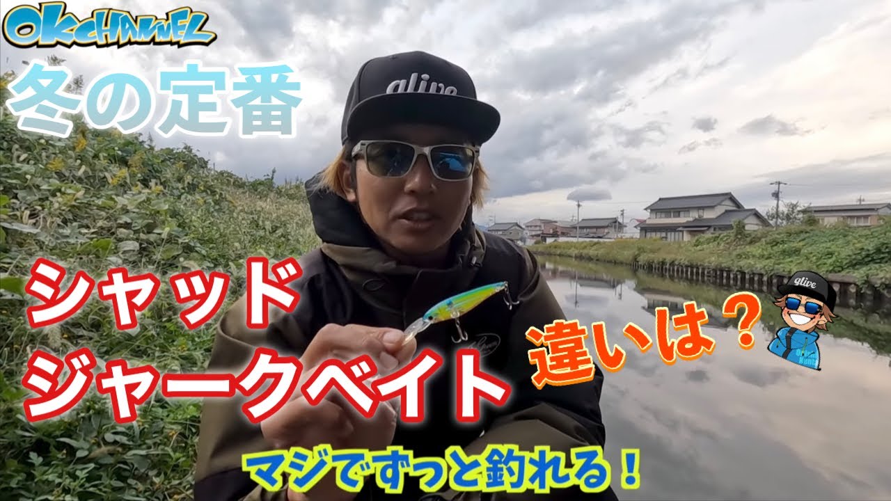 【この知識はマスト！】似て非なるシャッド＆ジャークベイト！どっち使えばいいのー⁈講座【バスプロ解説】
