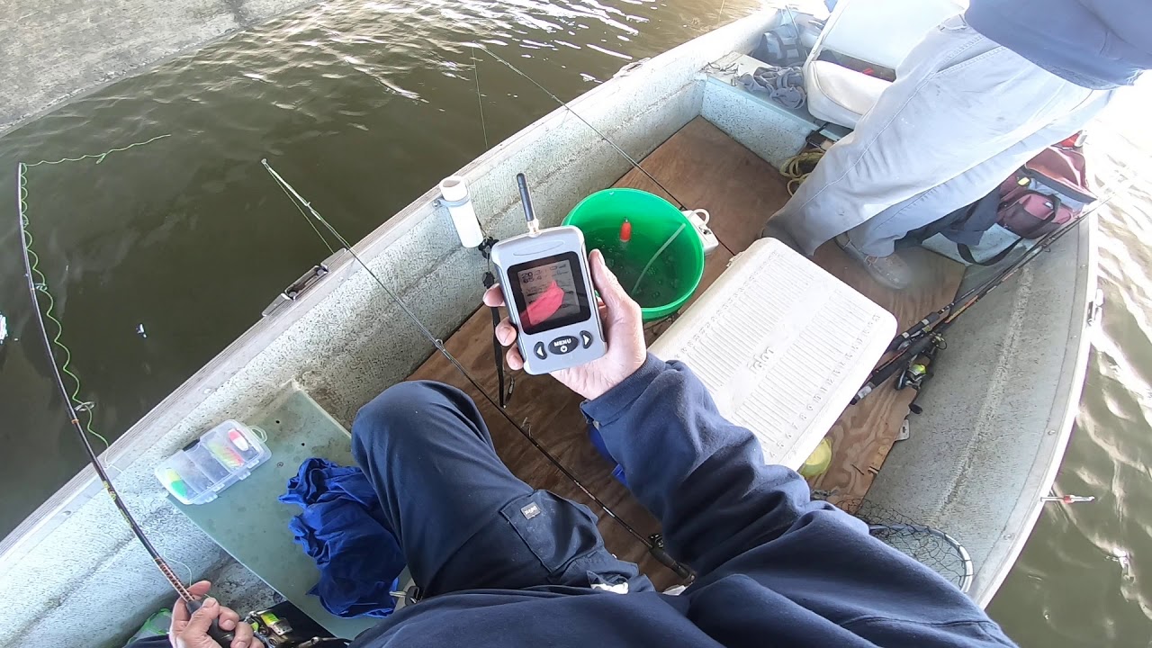 Pesca de mojaras grandes. (7)