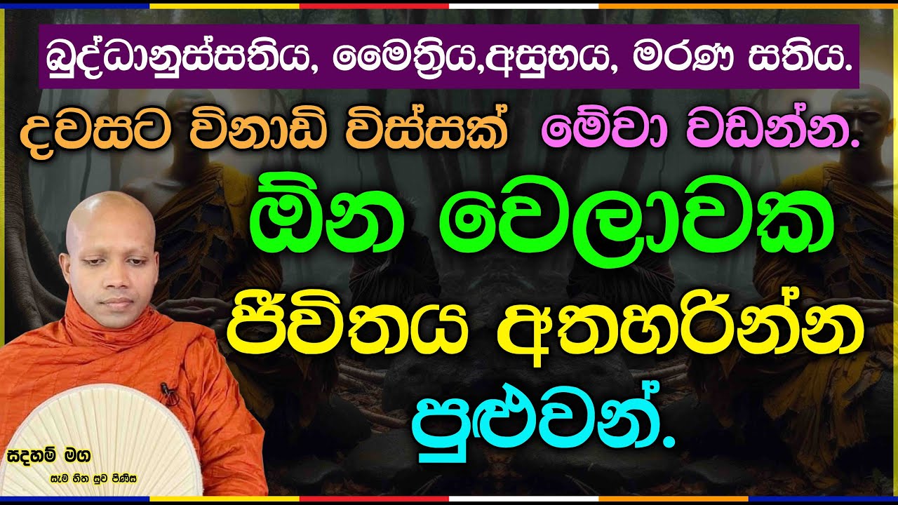 ඕන වෙලාවක ජීවිතය අතහරින්න පුළුවන්.2843Ven Hasalaka Seelawimala Thero