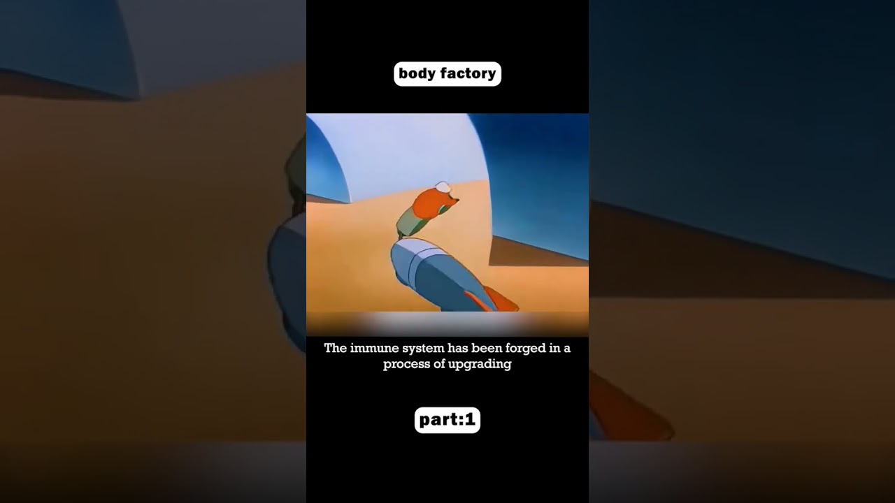 How immune system works | body factory 