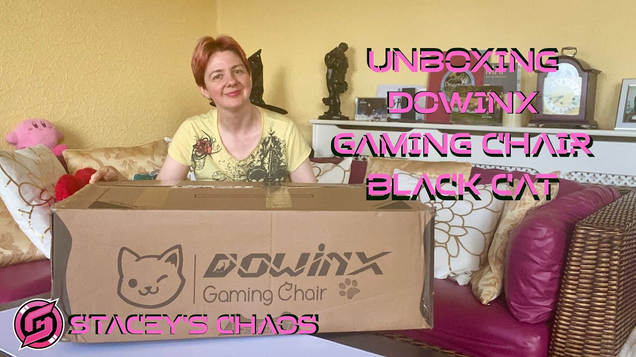 Unboxing Dowinx Gaming Cat Chair: Black and Pink 🐾