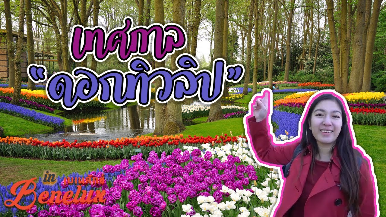 สวนทิวลิปเคอเคนฮอฟ เทศกาลดอกไม้ที่โลกรอคอย I กู๊ดเดย์ เนเธอร์แลนด์ EP5 I Keukenhof 2018