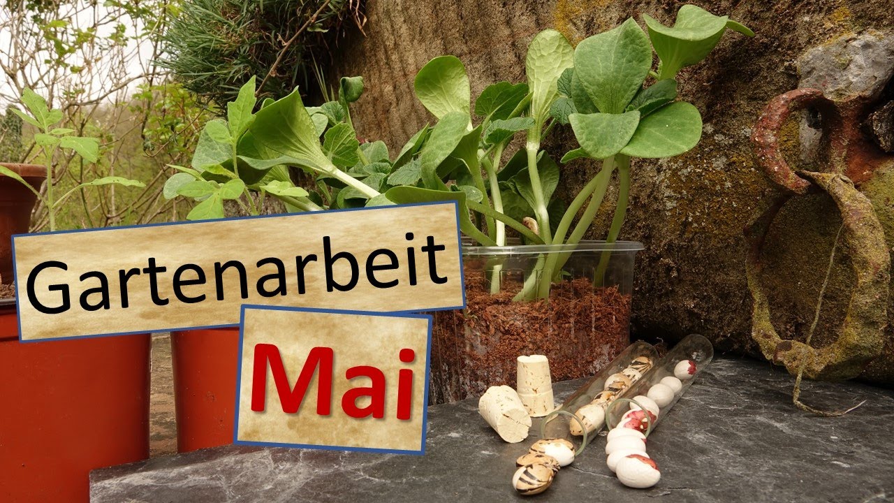 Gartenarbeit Mai🌱 - Hochbeet bauen, Bohnen,🍆🥬 Jungpflanzen auspflanzen, Baumschule etc.