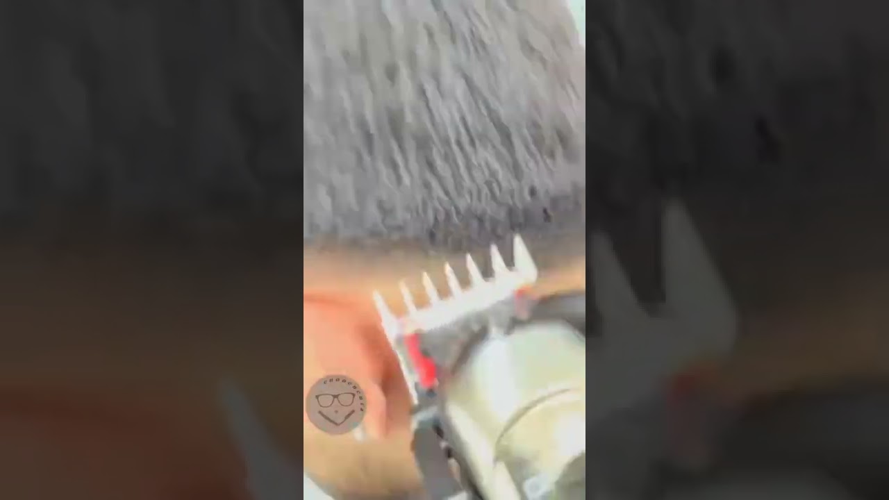 bal setup #Sahil barber #shorts #hair #hairstyle #haircutting  #hairstyling #shanuzzunisexsalon