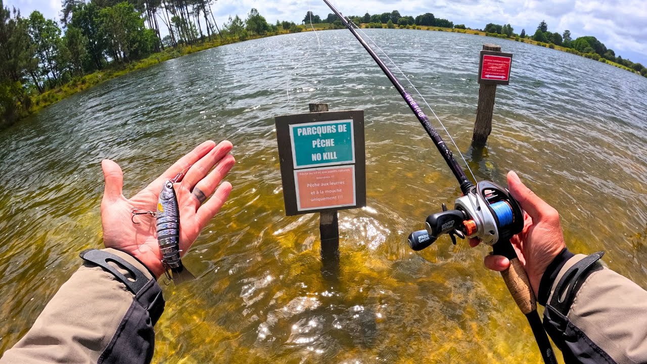 Mais POURQUOI les POISSONS voulaient UNIQUEMENT CE LEURRE pour l'OUVERTURE 2024 ?