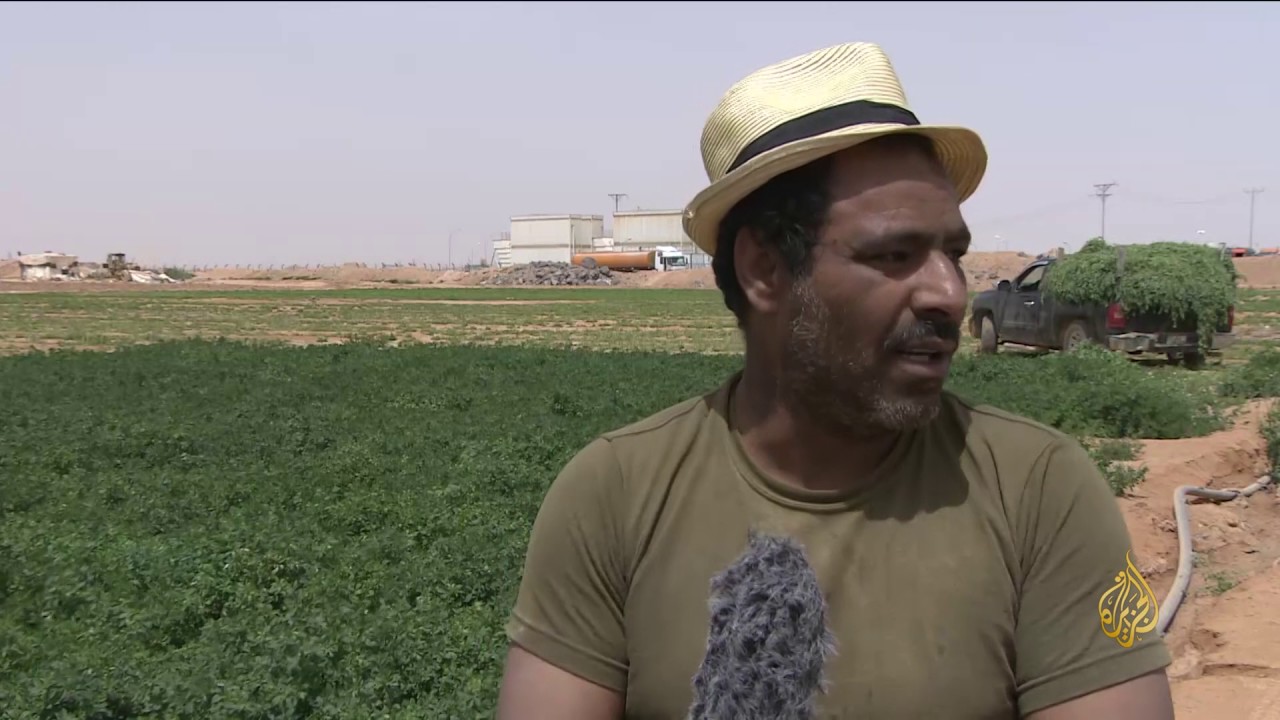 هذا الصباح- الأردن.. تجربة زراعية بمياه الصرف الصحي