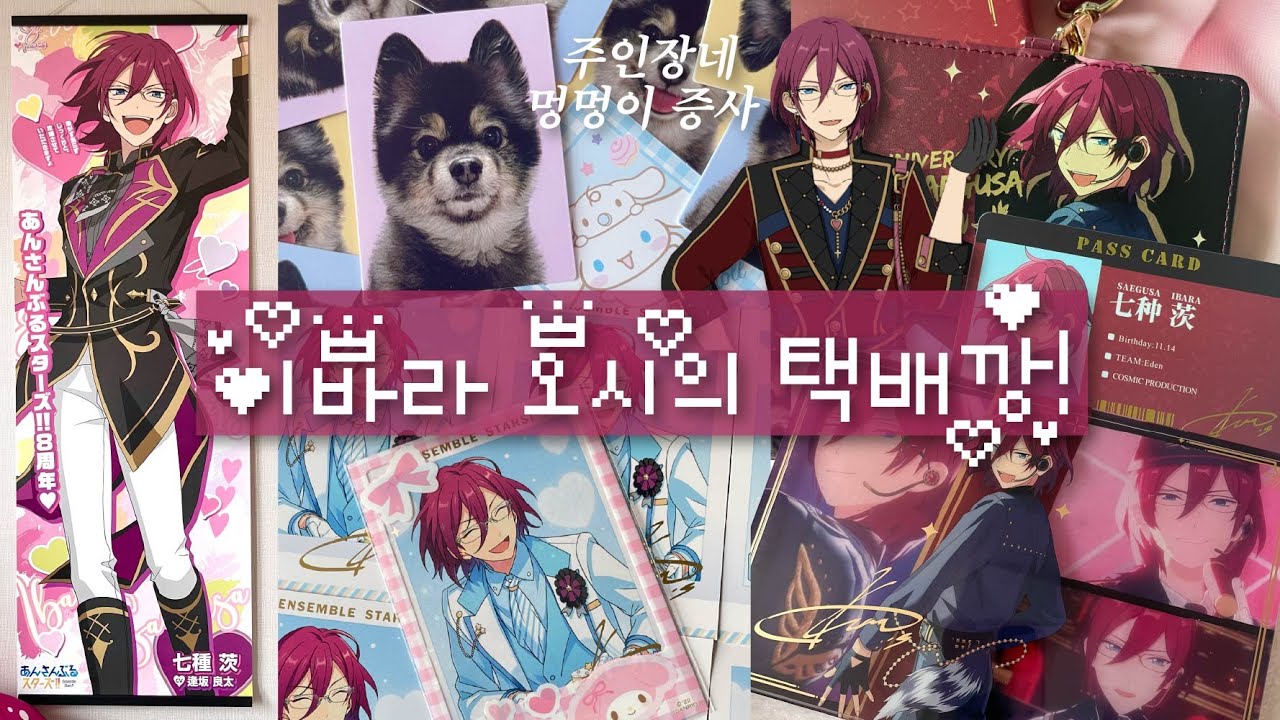 [앙스타] 이바라 오시가 무한으로 말아주는 택배깡!!💞  #언박싱