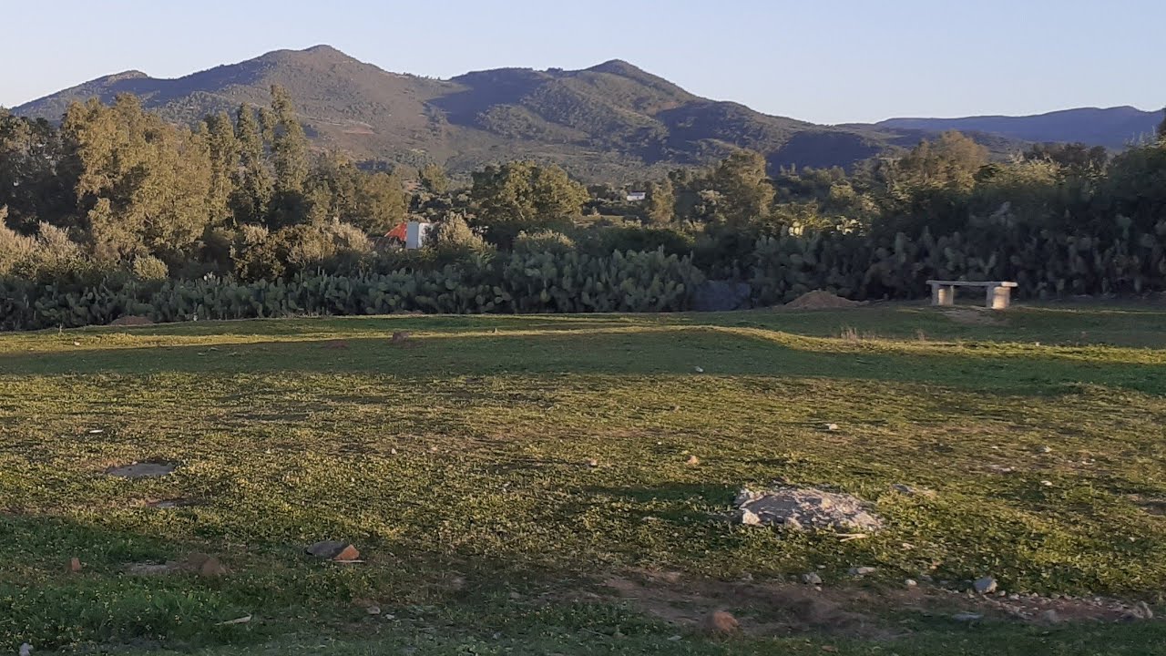 اجيو تخضرو عويناتكم معاية بمنطقة القصر الكبير بدوار امجادي مع مسيقى جبلية صامتة روعة