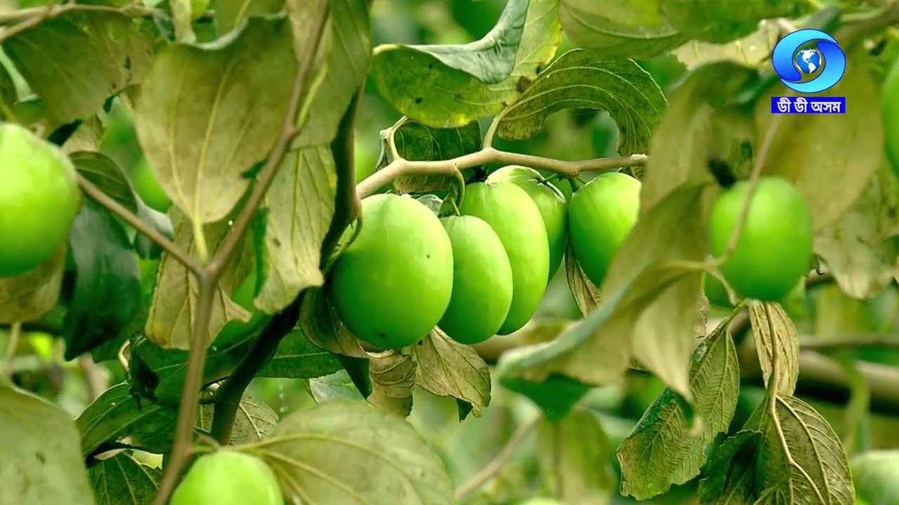 Krishi Darshan 09/03/2026