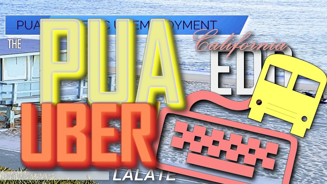 SBA Disaster Loan Application Bombshell Exclusive: VORTEX Viewers UPDATE, PUA Uber Benefits FED Loan