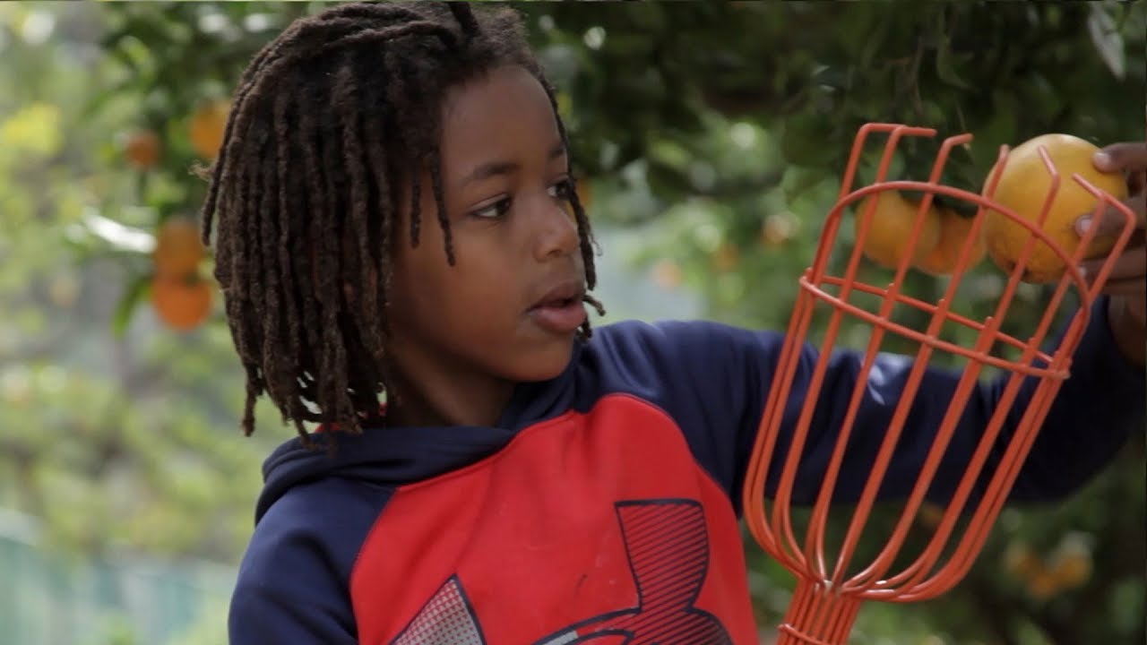 Los Angeles, Garden Paradise | LA Foodways