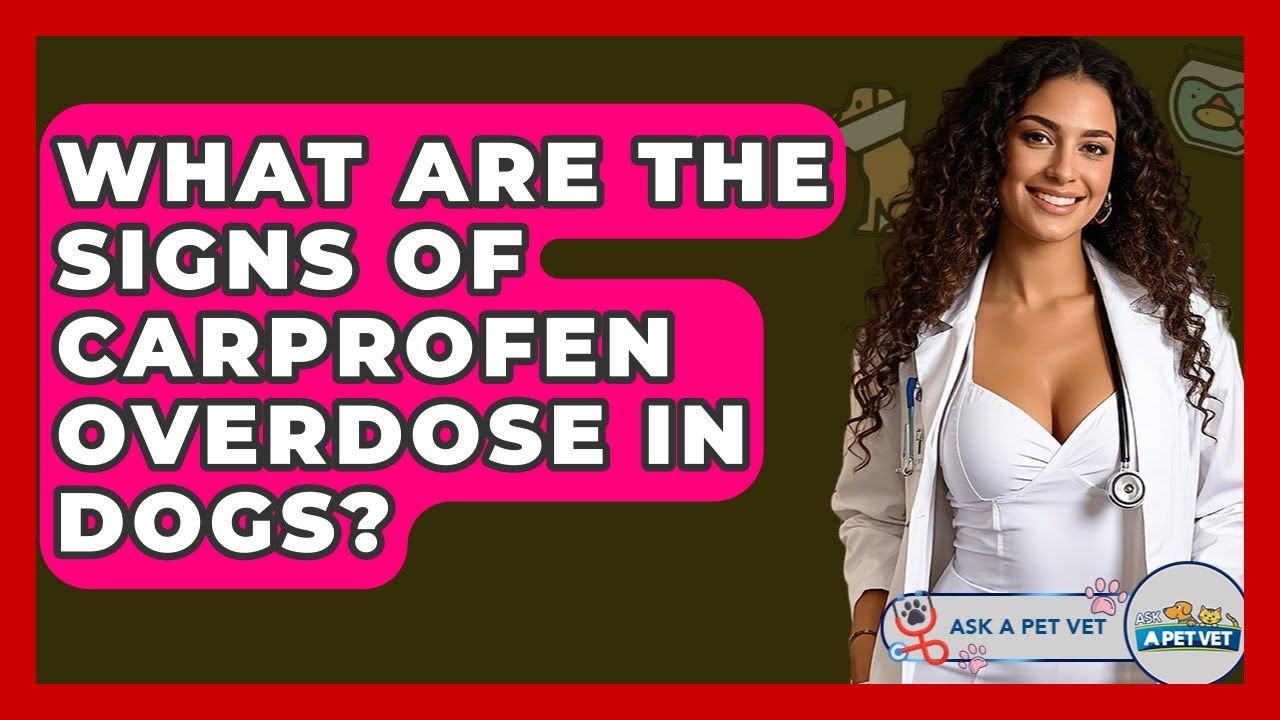 What Are The Signs Of Carprofen Overdose In Dogs? - Ask A Pet Vet