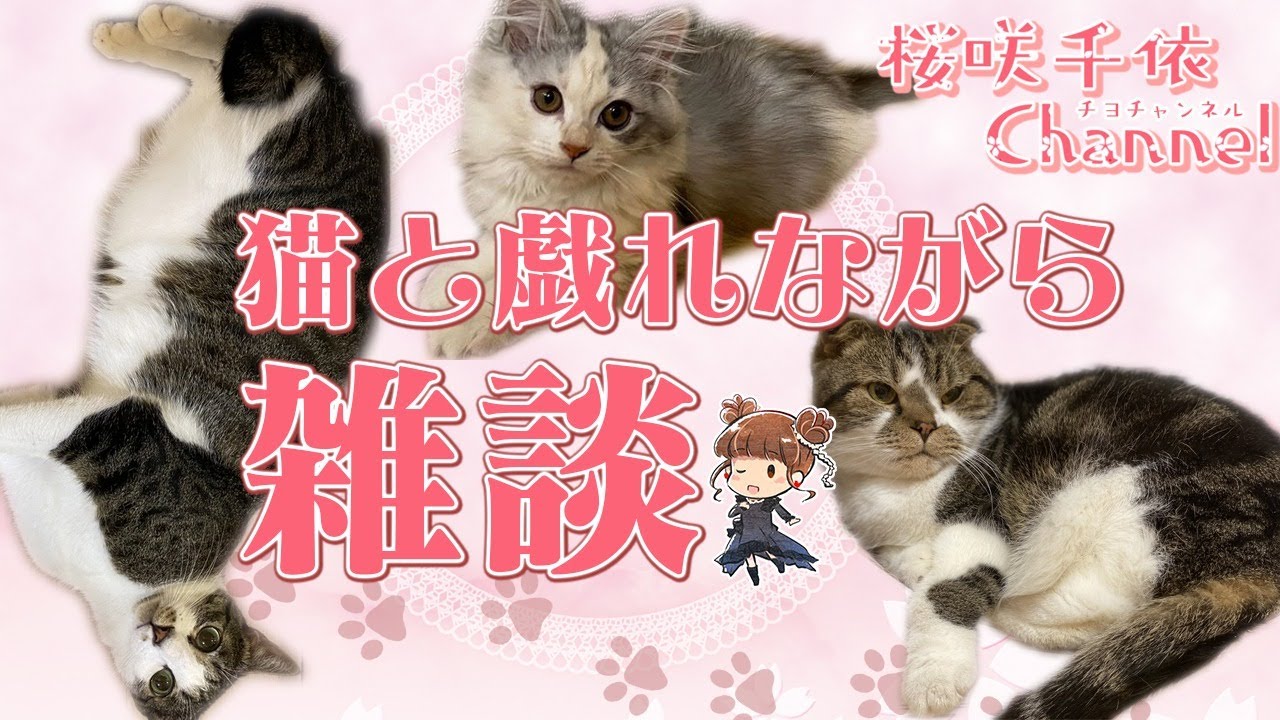 ただただ猫と戯れながら雑談しましょ【桜咲千依】