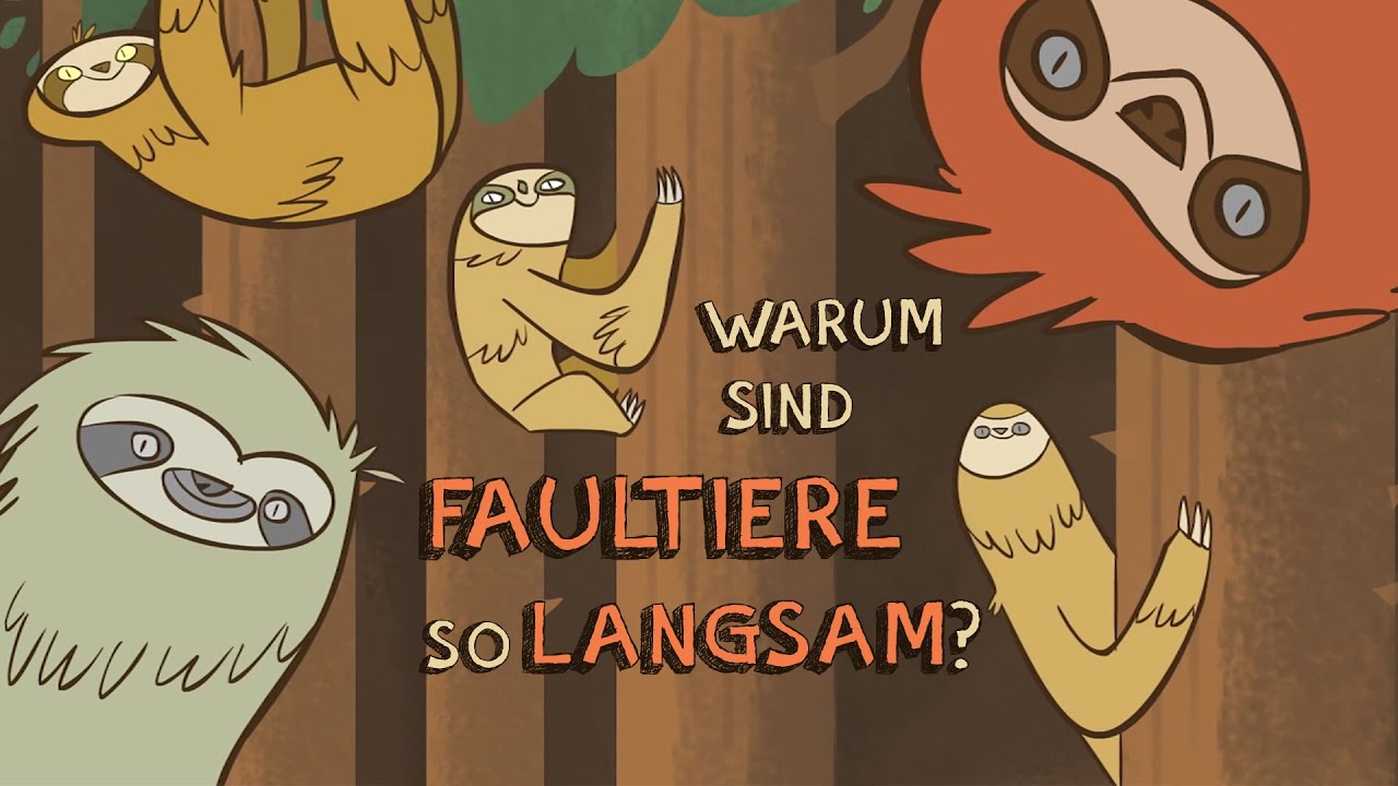 Warum sind Faultiere so langsam?  – Kenny Coogan