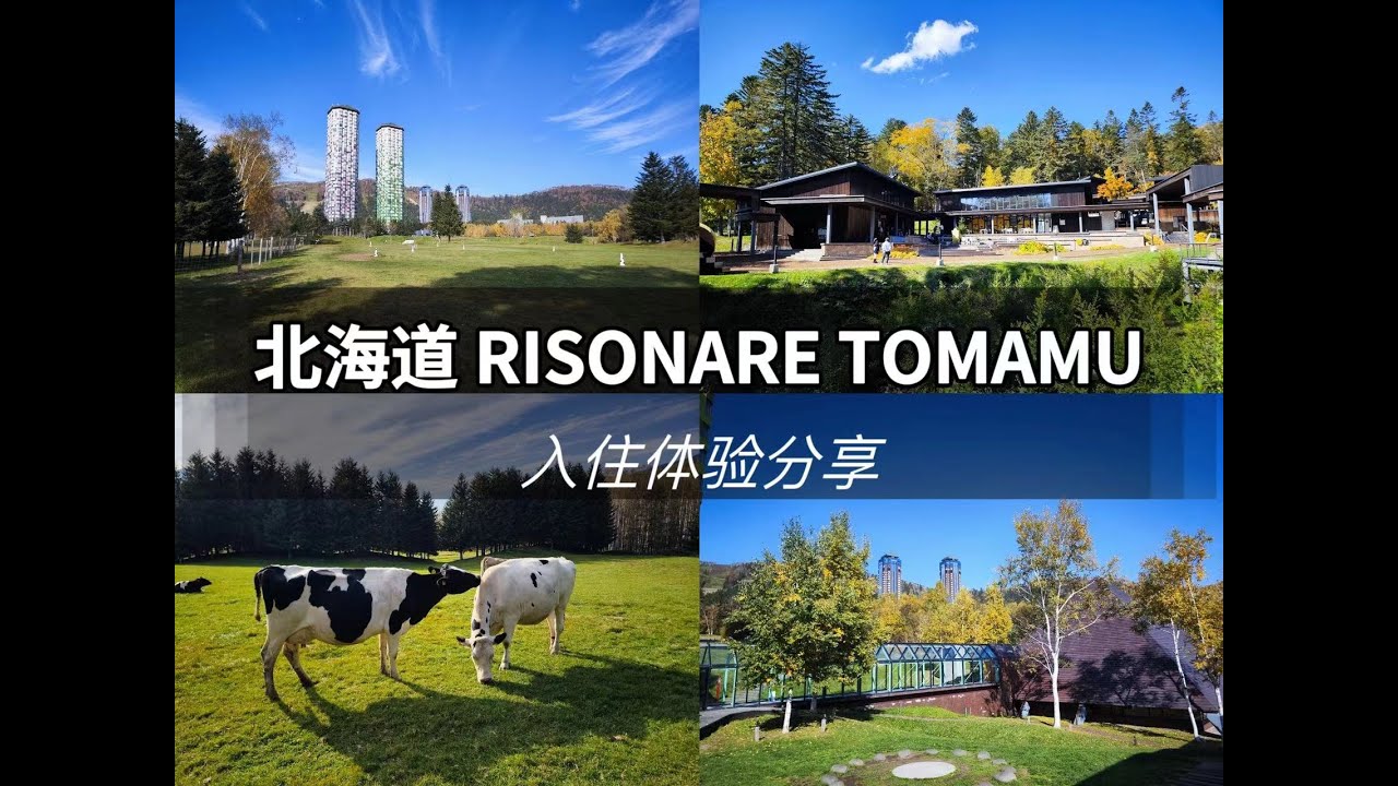 FineHotel|北海道必住，拥有整片森林的高端度假酒店，感受一年四季的自然之美 Hoshino Resorts RISONARE Tomamu
