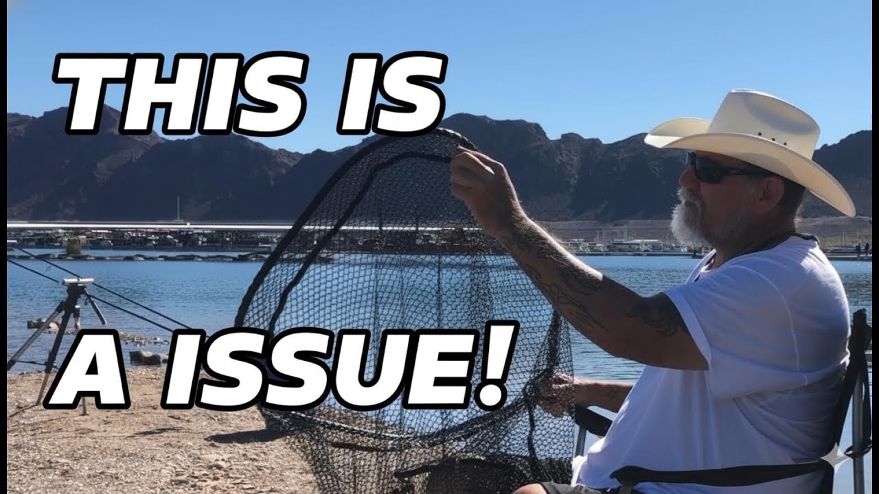 How I Fixed My Net and Caught a Monster Fish!