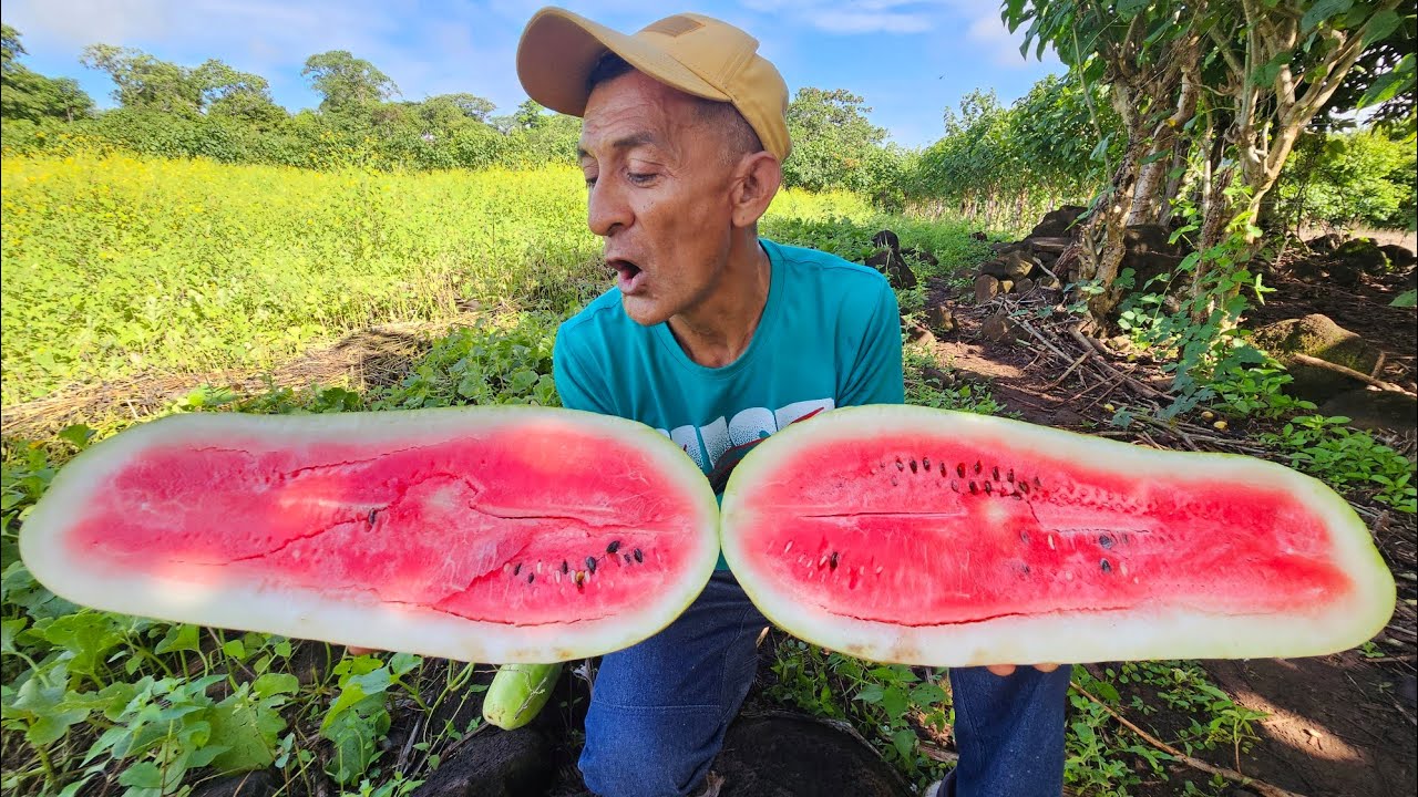Don jose se come una enorme sandia 🍉