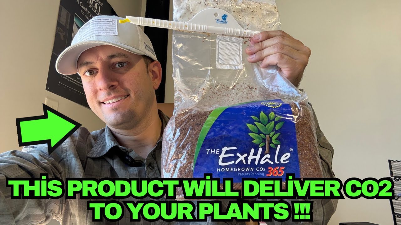 Should You Purchase This For Your Plants In Your Grow Room? FULL REVIEW!!!