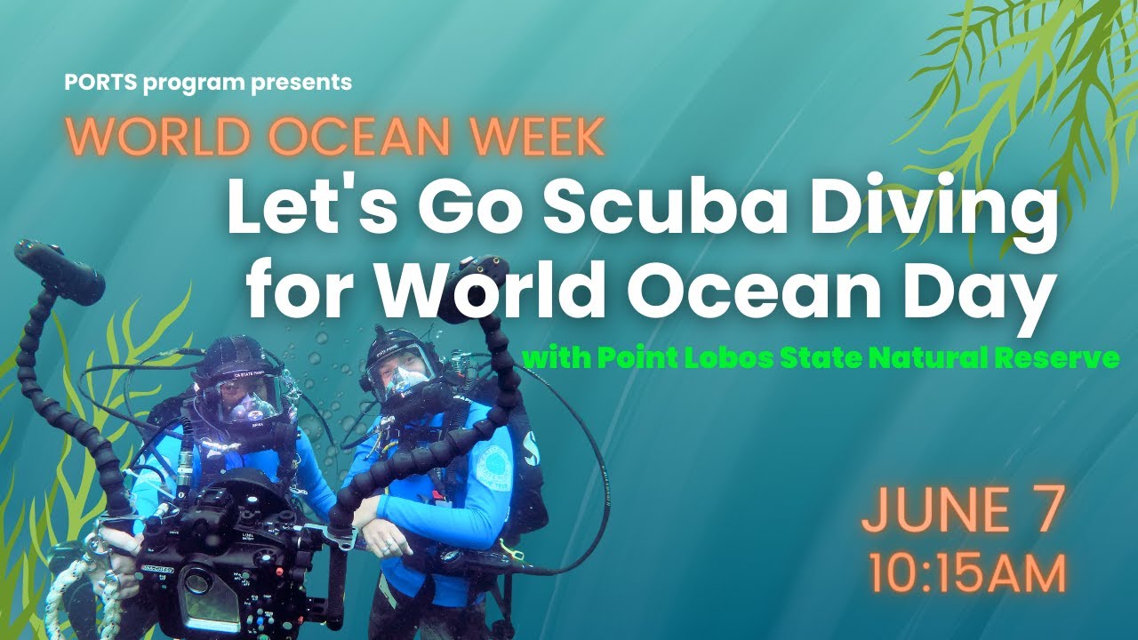 LIVE UNDERWATER: Let's Go Scuba Diving for World Ocean Day!