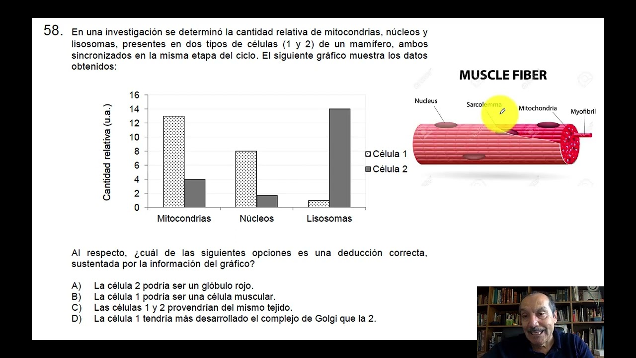 Resolución PAES Electivo biología
