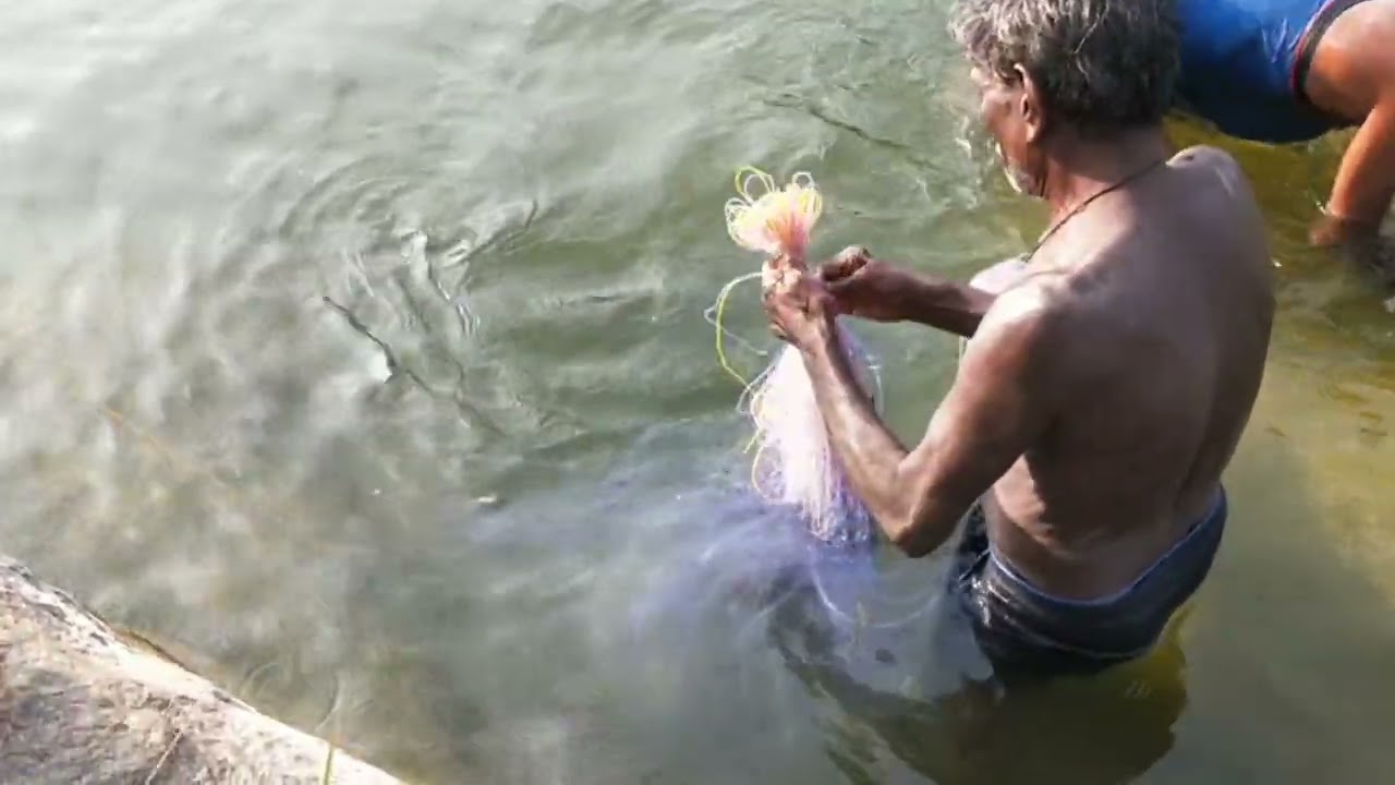 நம்ம  ஆத்துல 10 கிலோ மீன் மாமா பிடிச்சுட்டு வந்திருக்காரு 🥰..
