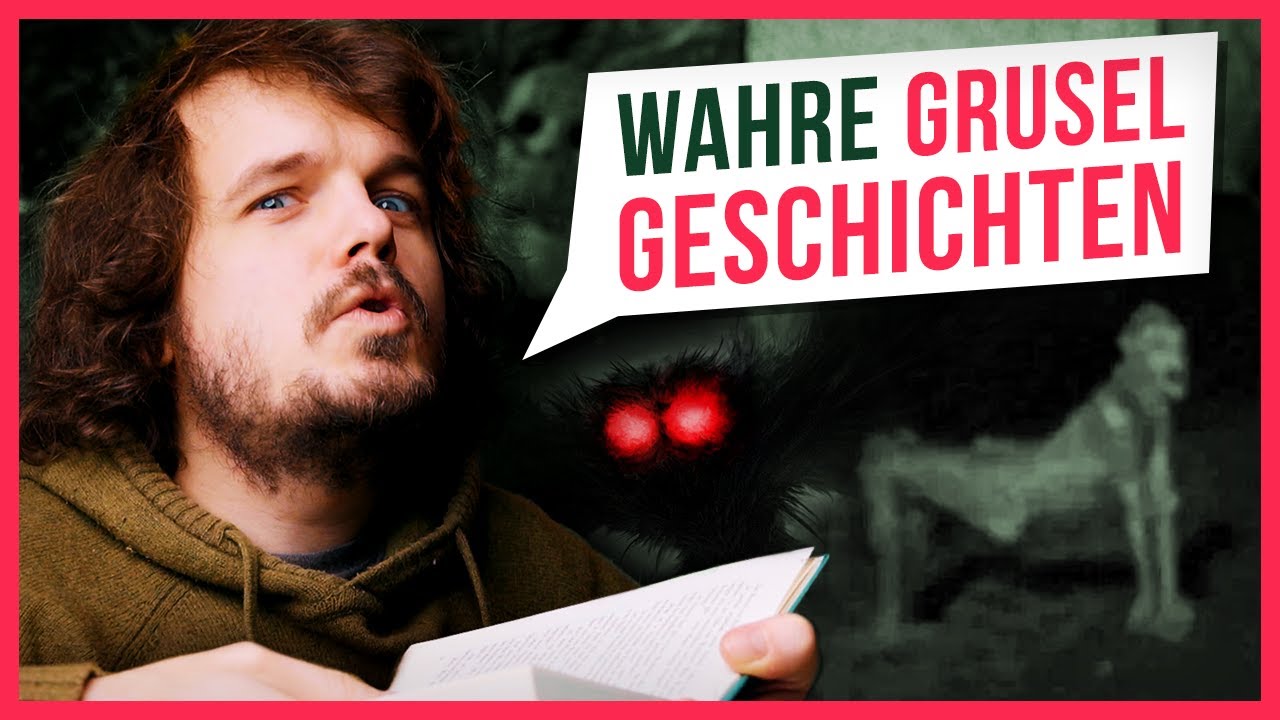 Gruselige Horror Geschichten die total WAHR sind! (Dank Edition)