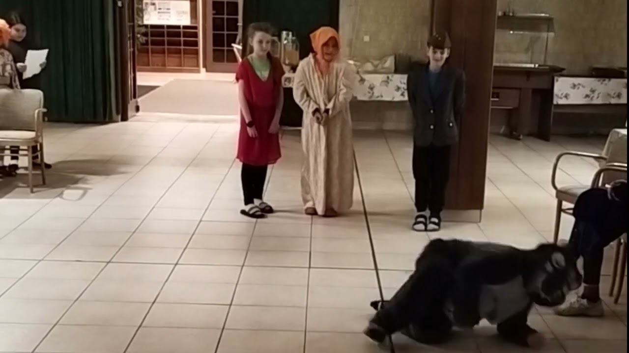 Škola v prírode 2024