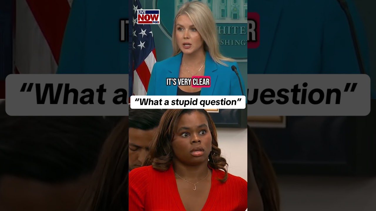 &ldquo;What a stupid question&rdquo; on force used against protesters says White House Karoline Leavitt