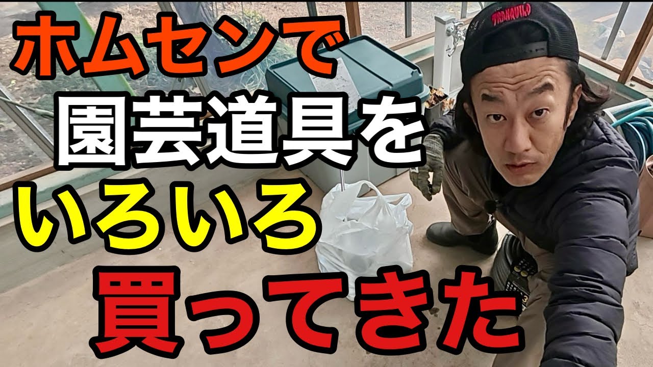 初めて買ったけど凄いぞこれ！！！【園芸超人カーメン君】