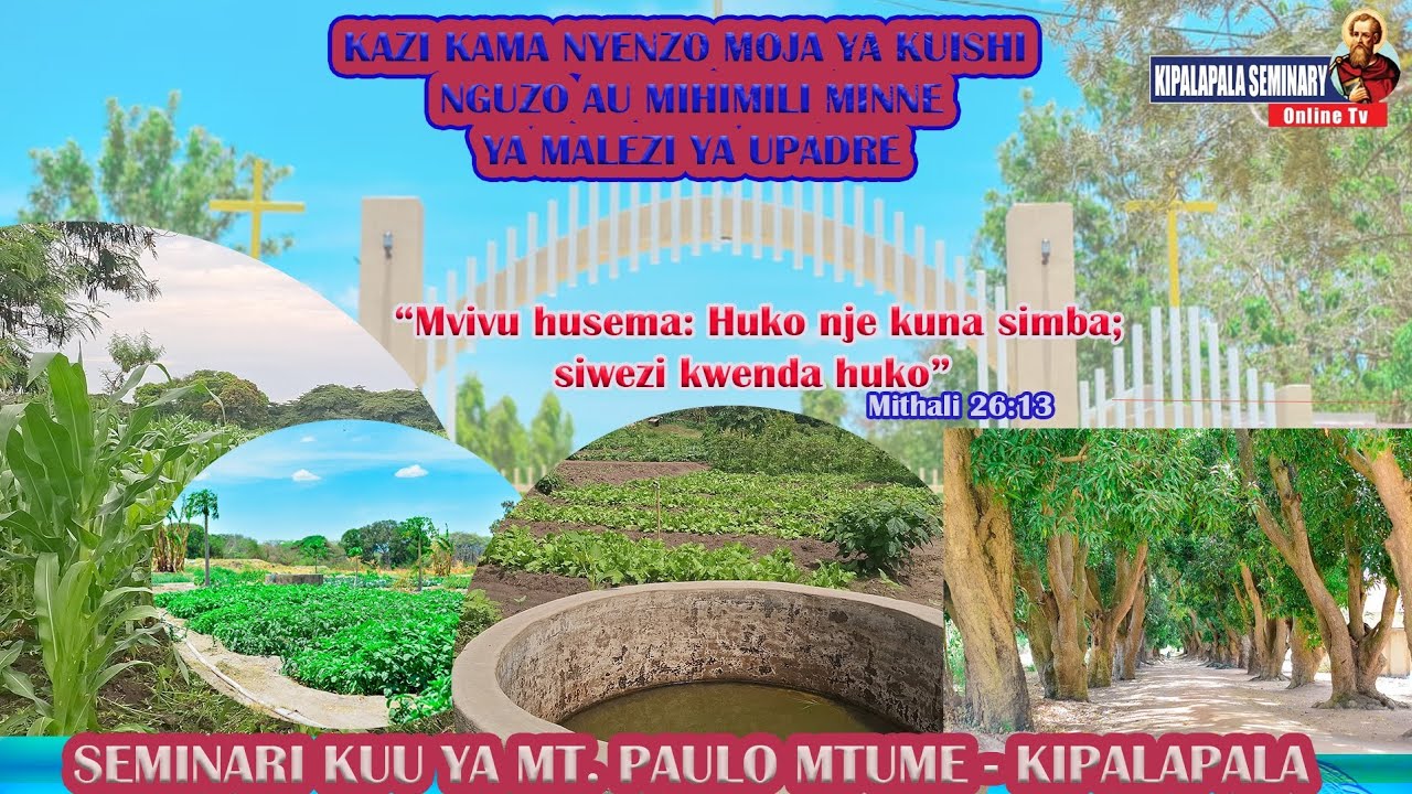 VIDEO FUPI YA SHUGHULI ZA SHAMBANI : SEMINARI KUU YA MT. PAULO MTUME KIPALAPALA#kanisakatolic