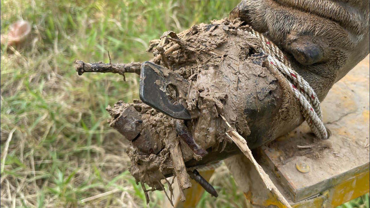 We Tested HOOF Fixing Tools And Found The BEST Option
