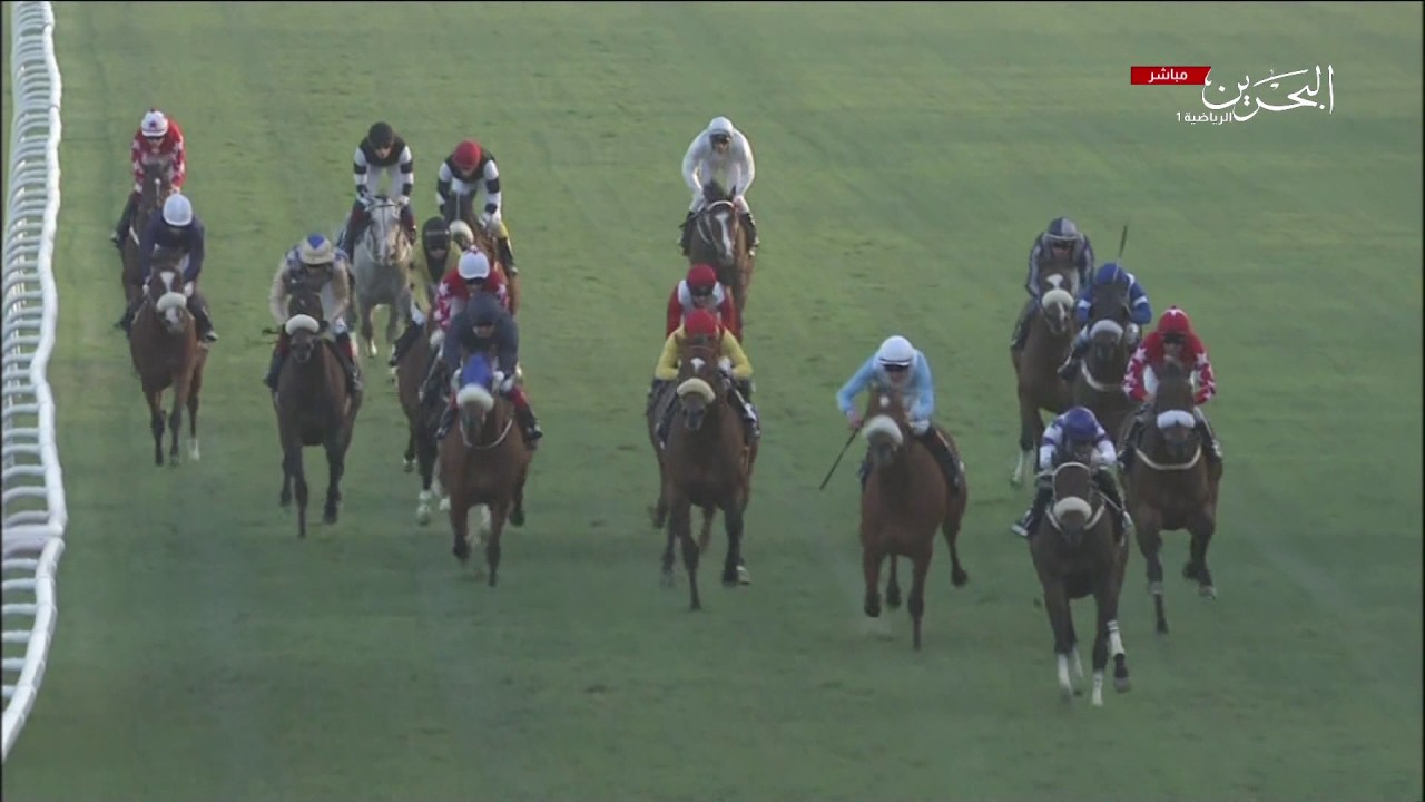 Racing BH 5th Race 03-FEB-2017