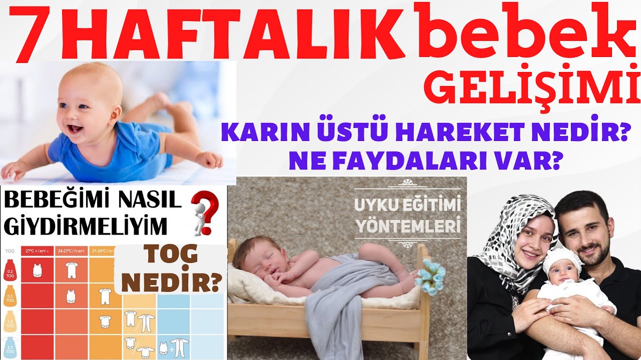 7 недель развития ребенка (ПОДРОБНОЕ ОБЪЯСНЕНИЕ) с @Rabia AHİN