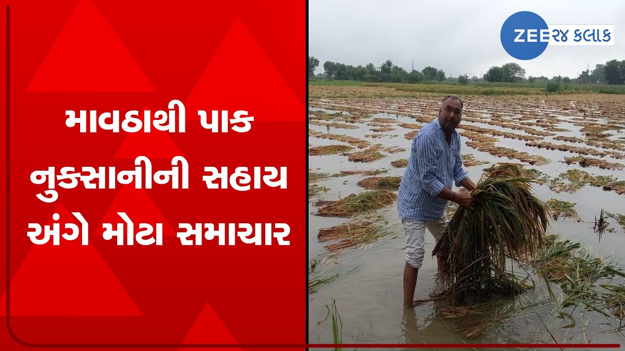 Amount of crop loss compensation to be released soon, says Agriculture Minister Rushikesh Patel