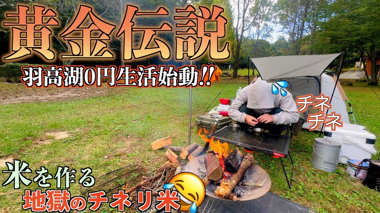 【ソロキャンプ】米の価格が高騰する中、20年前に大ブームを起こしたチネリ米を作った結果がヤバすぎた…【チネリ】【黄金伝説】【よゐこ】【0円生活】【羽高湖森林公園キャンプ場】
