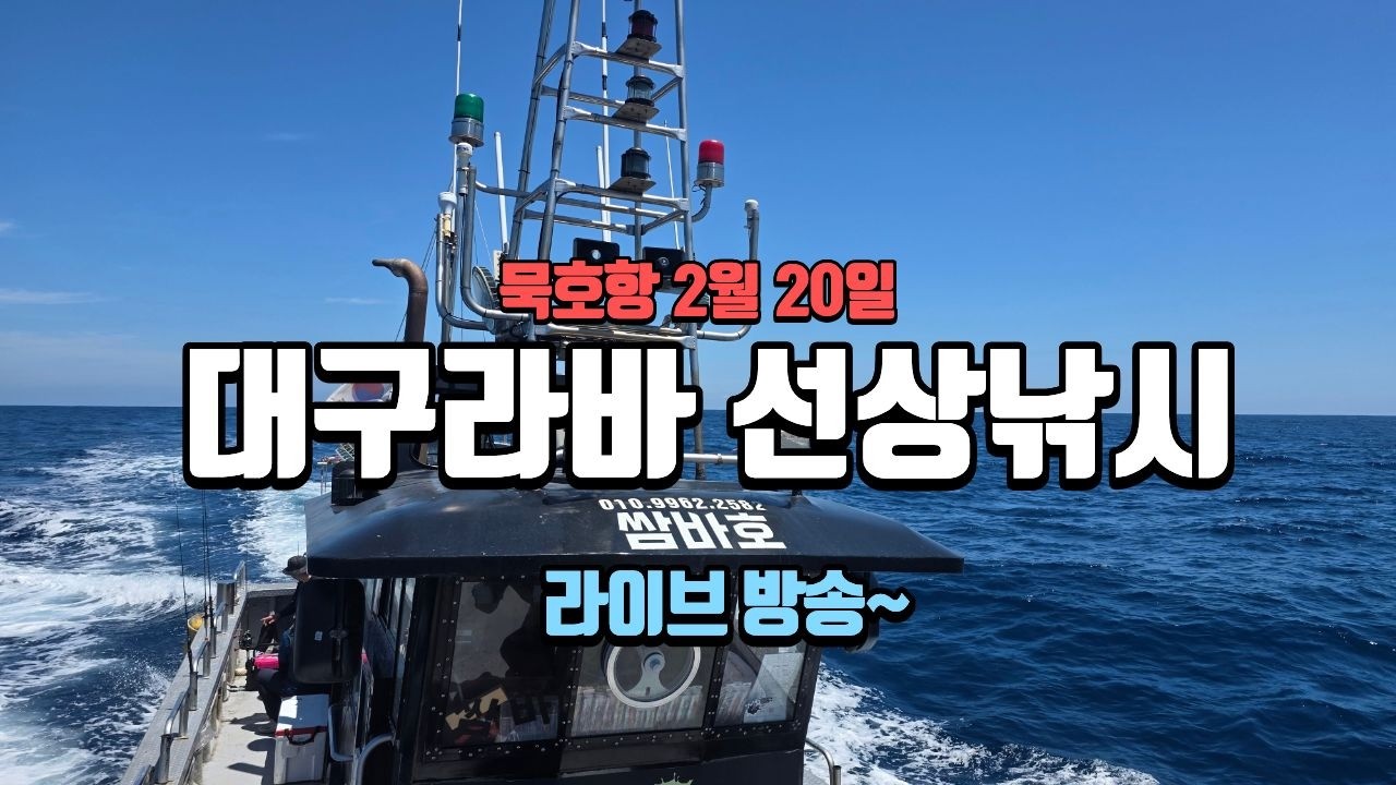 묵호항 2월 20일 대구라바 선상낚시 라이브 1