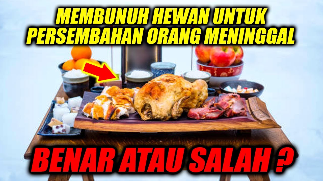SEBENARNYA ADAKAH GUNANYA MEMBERI PERSEMBAHAN HEWAN KEPADA ORANG YANG SUDAH MENINGGAL❓