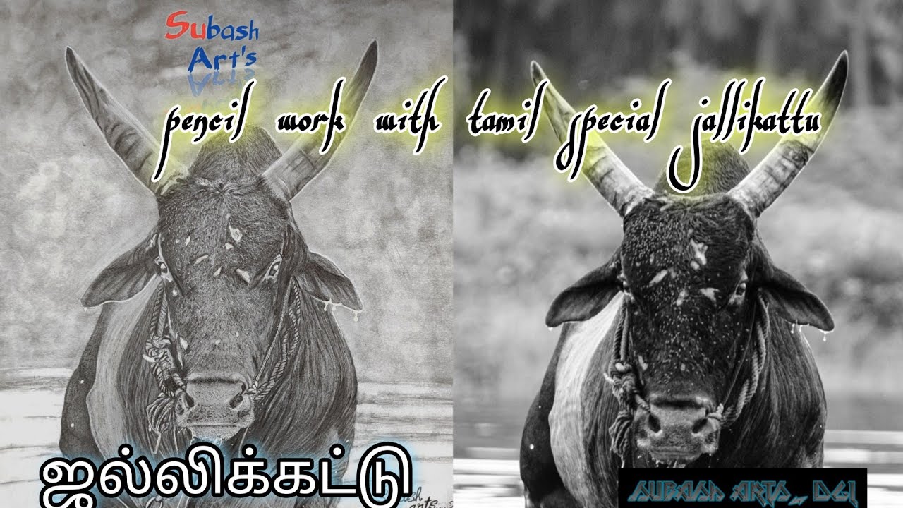 Jallikattu image portrait