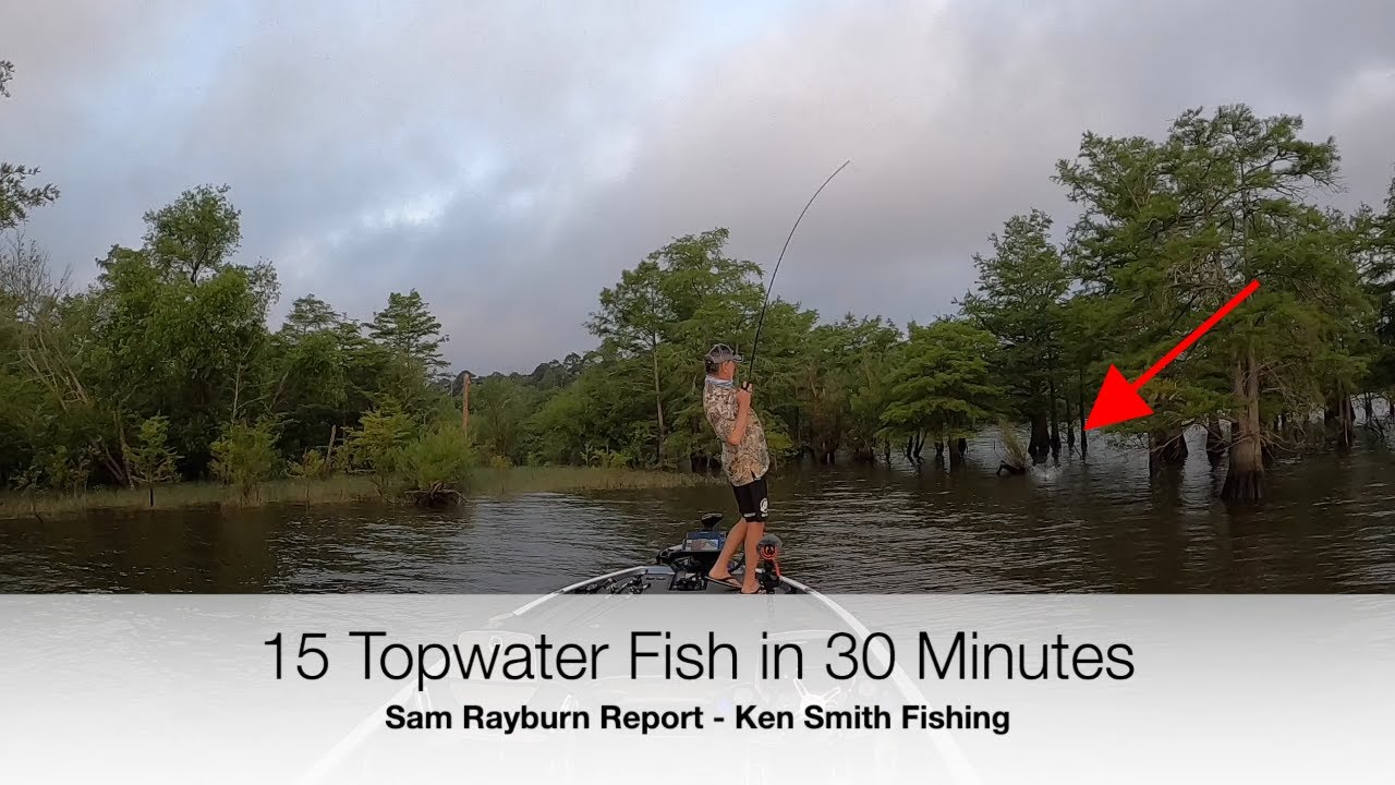 15 Topwater Fish in 30 Minutes   Sam Rayburn Report