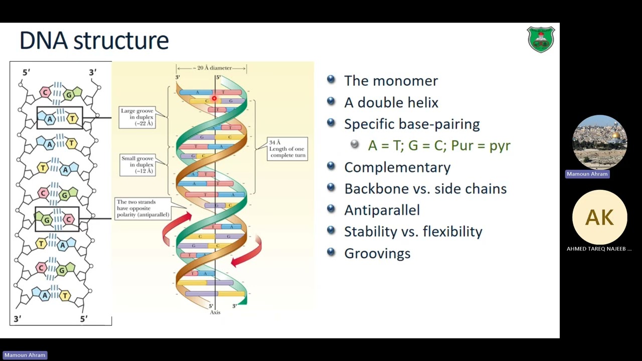 MB01 Обзор и гель-электрофорез