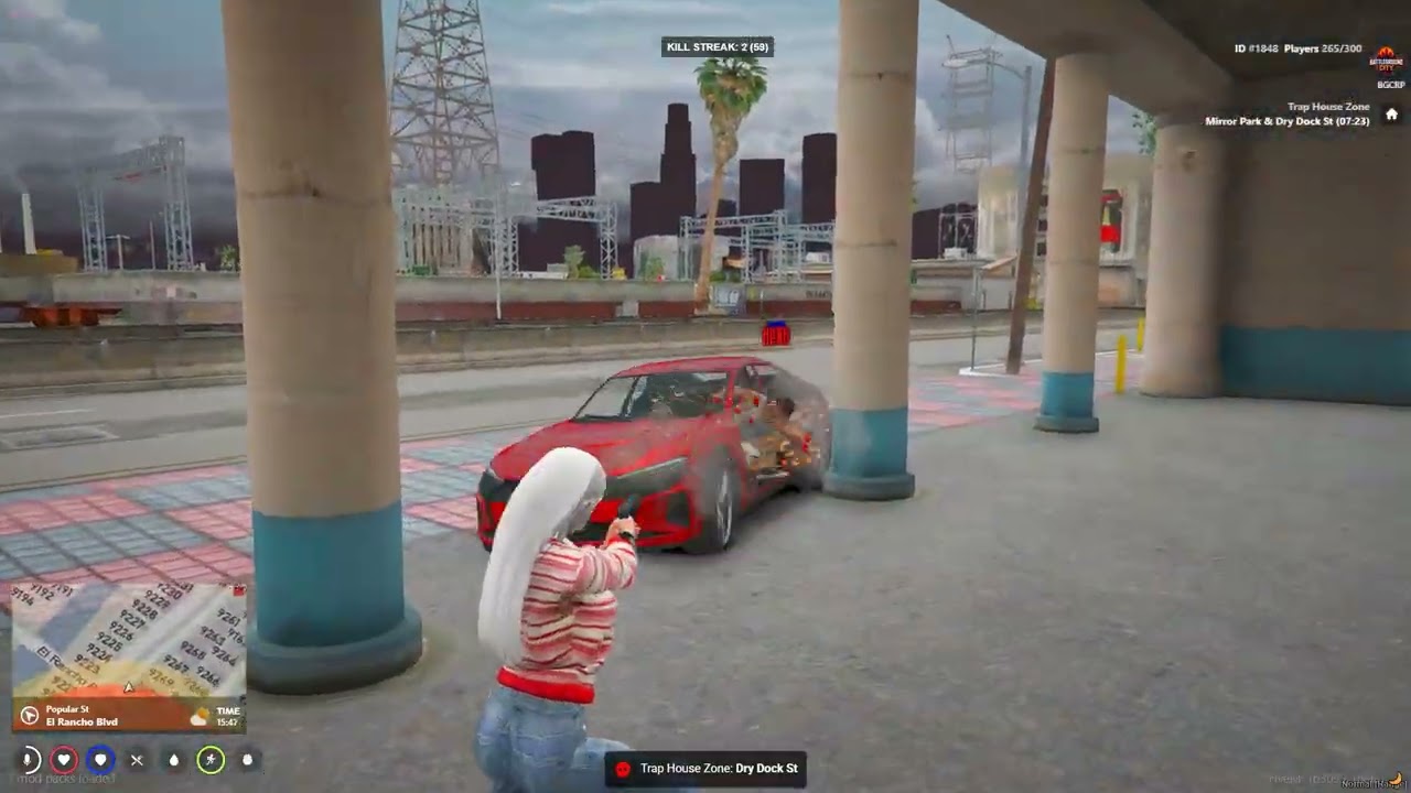 IN NEW YORK I MILLY ROCK