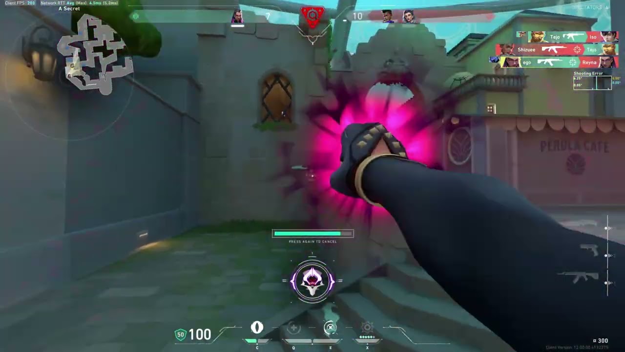What an Enemy Reyna looks like...