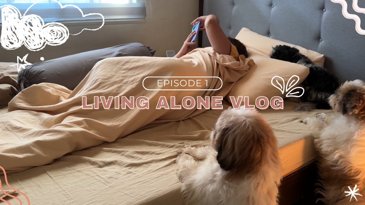 A Day in my Life: Living Alone with 6 Shih Tzus: My Puppy's Parvovirus Battle
